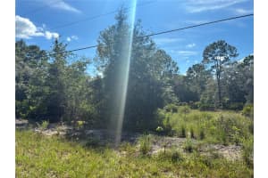 SW SOUTH WIND CT, DUNNELLON, FL 34430 - MLS#MFROM709010