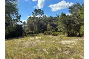 SW SOUTH WIND CT, DUNNELLON, FL 34430 - MLS#MFROM709010