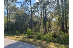 REDWING RD, DUNNELLON, FL 34430 - MLS#MFROM709032