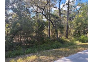 REDWING RD, DUNNELLON, FL 34430 - MLS#MFROM709032