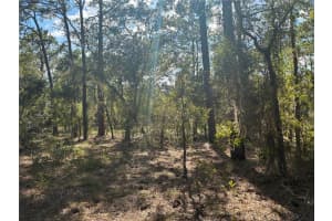 REDWING RD, DUNNELLON, FL 34430 - MLS#MFROM709032