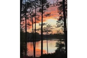 14830 61ST STREET ROAD, OCKLAWAHA, FL 32179 Sold 12/02/25