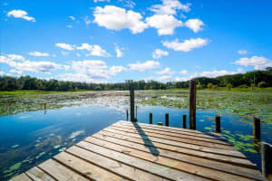 19358 95TH PLACE, OCKLAWAHA, FL 32179 Sold 09/29/25