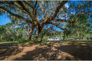 19358 95TH PLACE, OCKLAWAHA, FL 32179 Sold 09/29/25