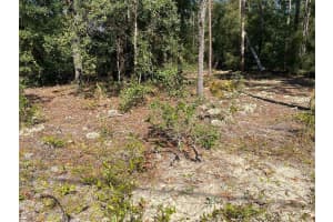 TBD LAKELAND HEIGHTS AVENUE, DUNNELLON, FL 34431 - MLS#MFROM709053
