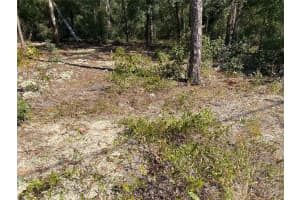 TBD LAKELAND HEIGHTS AVENUE, DUNNELLON, FL 34431 - MLS#MFROM709053