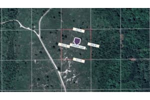 TBD COUNTY ROAD, OAK HILL, FL 32759 - MLS#MFROM709075