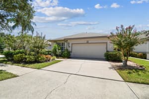 9408 Edenton Way, TAMPA