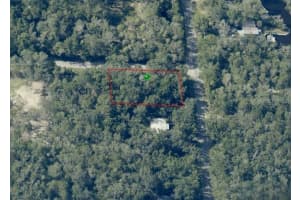 11882 ELDRED LANE, HOMOSASSA, FL 34448 - MLS#MFROM709275