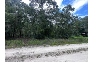 155TH TER NE, WILLISTON, FL 32696 - MLS#MFROM709277