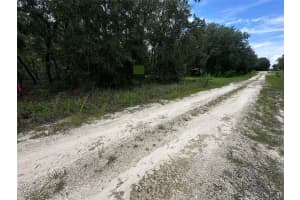 155TH TER NE, WILLISTON, FL 32696 - MLS#MFROM709277