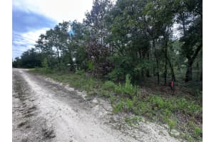 155TH TER NE, WILLISTON, FL 32696 - MLS#MFROM709277