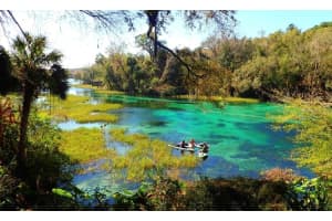 0000 44TH STREET, DUNNELLON, FL 34432 - MLS#MFROM709287