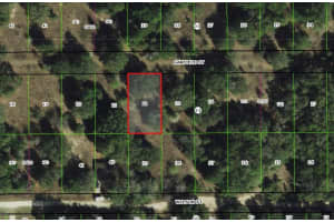 2303 GARFIELD STREET, INVERNESS, FL 34453 - MLS#MFROM709288