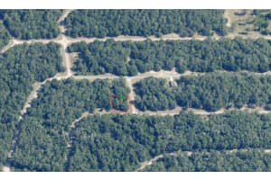 1577 IVYDALE DRIVE, CITRUS SPRINGS, FL 34434 - MLS#MFROM709290