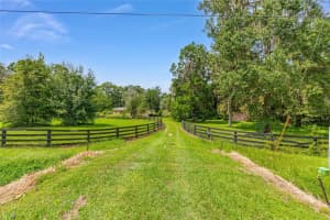 12984 36TH AVENUE, BELLEVIEW, FL 34420 - MLS#MFROM709294