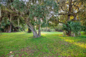 17545 39TH COURT, CITRA, FL 32113 - MLS#MFROM709295