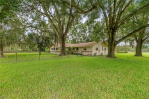 14402 S HIGHWAY 475, SUMMERFIELD, FL 34491 - MLS#MFROM709312