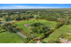 14402 S HIGHWAY 475, SUMMERFIELD, FL 34491 - MLS#MFROM709312