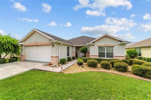 13430 86TH CIRCLE, SUMMERFIELD, FL 34491 - MLS#MFROM709321