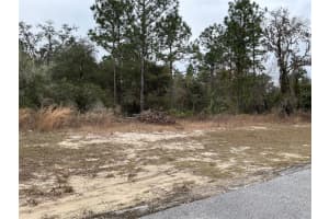 LOT 27 77TH AVENUE, OCALA, FL 34473 - MLS#MFROM709326