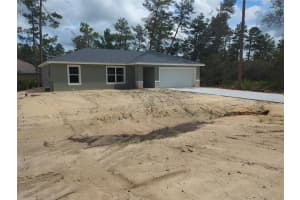 75 FISHER TRACE DRIVE, OCKLAWAHA, FL 32179 - MLS#MFROM709330