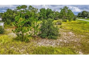 90 SPRING LOOP, OCALA, FL 34472 - MLS#MFROM709332
