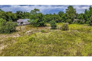 90 SPRING LOOP, OCALA, FL 34472 - MLS#MFROM709332