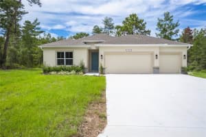 3 Cosmos Ct W, HOMOSASSA