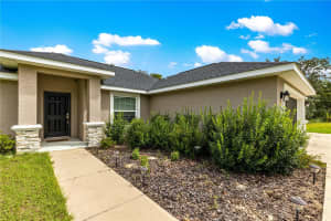 8753 159TH PLACE, SUMMERFIELD, FL 34491 - MLS#MFROM709375