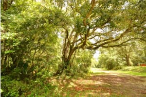 2259 WILDFLOWER COURT, DUNNELLON, FL 34434 - MLS#MFROM709400