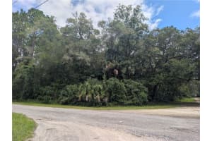 2259 WILDFLOWER COURT, DUNNELLON, FL 34434 - MLS#MFROM709400