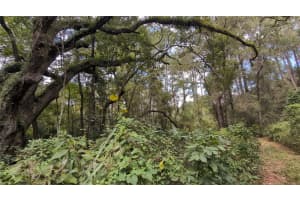 2259 WILDFLOWER COURT, DUNNELLON, FL 34434 - MLS#MFROM709400