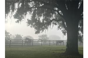 8001 7TH AVENUE ROAD, OCALA, FL 34480 - MLS#MFROM709421