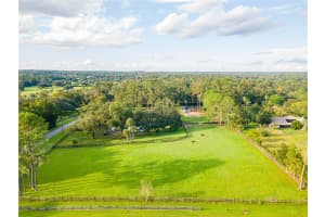 8001 7TH AVENUE ROAD, OCALA, FL 34480 - MLS#MFROM709421