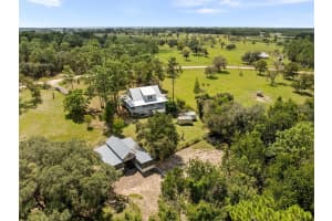 13651 73RD LANE, MORRISTON, FL 32668 - MLS#MFROM709439