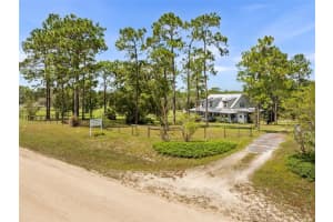 13651 73RD LANE, MORRISTON, FL 32668 - MLS#MFROM709439