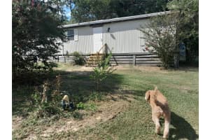 3731 117TH TERRACE, MORRISTON, FL 32668 - MLS#MFROM709464