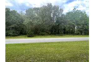 0 141 AVENUE, WILLISTON, FL 32696 Sold 10/10/25
