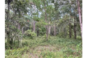 0 141 AVENUE, WILLISTON, FL 32696 Sold 10/10/25