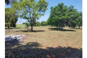 1415 TERRAPIN DRIVE, DUNNELLON, FL 34431 - MLS#MFROM709526