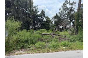 TBD 53RD STREET, OCALA, FL 34482 - MLS#MFROM709535