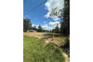 1011 4TH STREET, WILLISTON, FL 32696 - MLS#MFROM709538