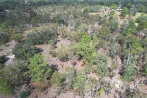 10050 136TH TERRACE, DUNNELLON, FL 34431 - MLS#MFROM709543