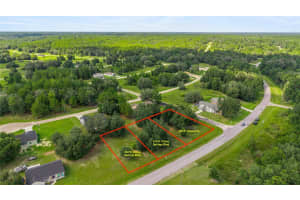 203 & 215 CITRUS SPRINGS BOULEVARD, CITRUS SPRINGS, FL 34434 - MLS#MFROM709559