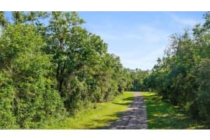 11023 GLENDA TERRACE, DUNNELLON, FL 34434 - MLS#MFROM709562