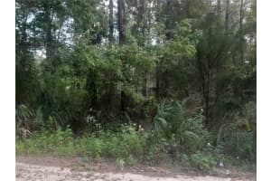 TBD 52ND PLACE, WILLISTON, FL 32696 - MLS#MFROM709571