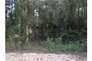 TBD 52ND PLACE, WILLISTON, FL 32696 - MLS#MFROM709571