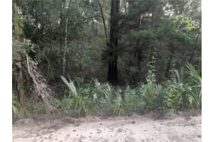 TBD 52ND PLACE, WILLISTON, FL 32696 - MLS#MFROM709571