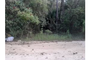 TBD 52ND PLACE, WILLISTON, FL 32696 - MLS#MFROM709571